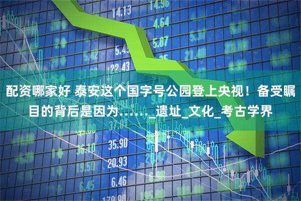 配资哪家好 泰安这个国字号公园登上央视！备受瞩目的背后是因为……_遗址_文化_考古学界