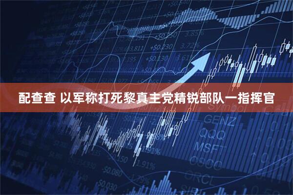 配查查 以军称打死黎真主党精锐部队一指挥官
