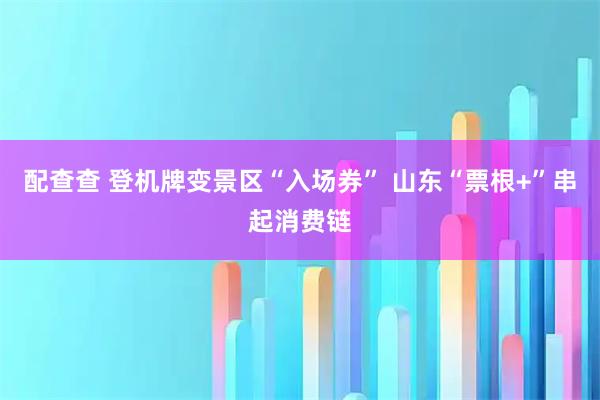 配查查 登机牌变景区“入场券” 山东“票根+”串起消费链