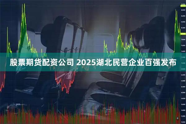 股票期货配资公司 2025湖北民营企业百强发布