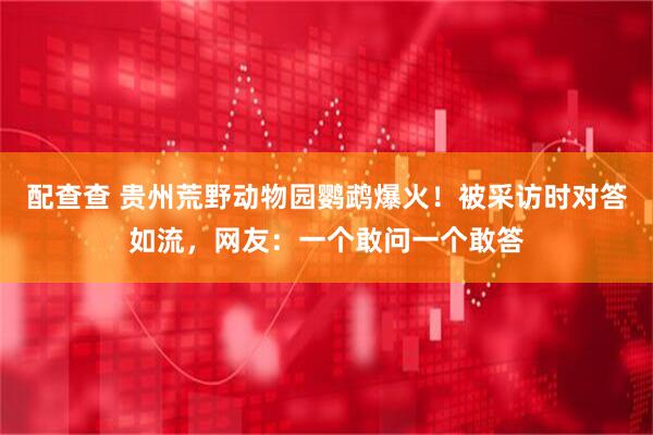 配查查 贵州荒野动物园鹦鹉爆火！被采访时对答如流，网友：一个敢问一个敢答