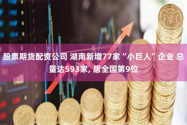 股票期货配资公司 湖南新增77家“小巨人”企业 总量达593家, 居全国第9位