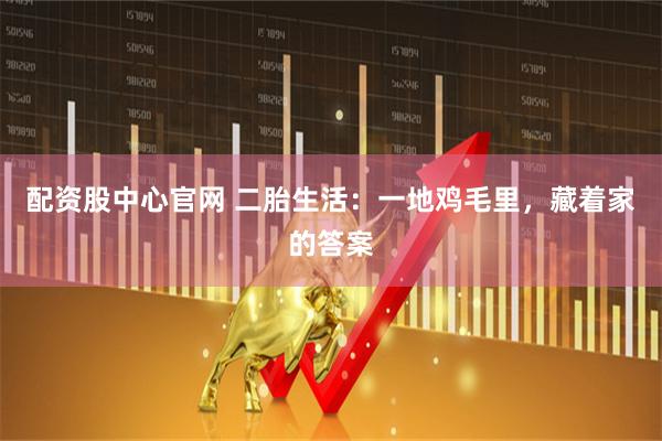 配资股中心官网 二胎生活：一地鸡毛里，藏着家的答案